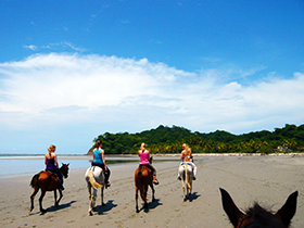 Surf Camp Costa Rica - Adventures - Horseback Riding